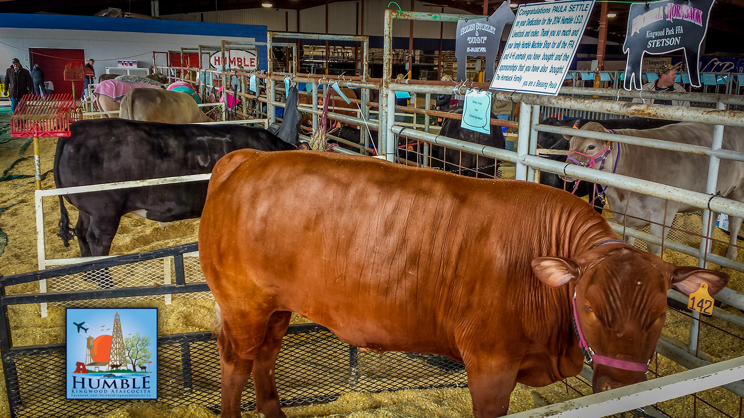 Humble ISD’s 67th Annual Livestock show at the Humble Rodeo