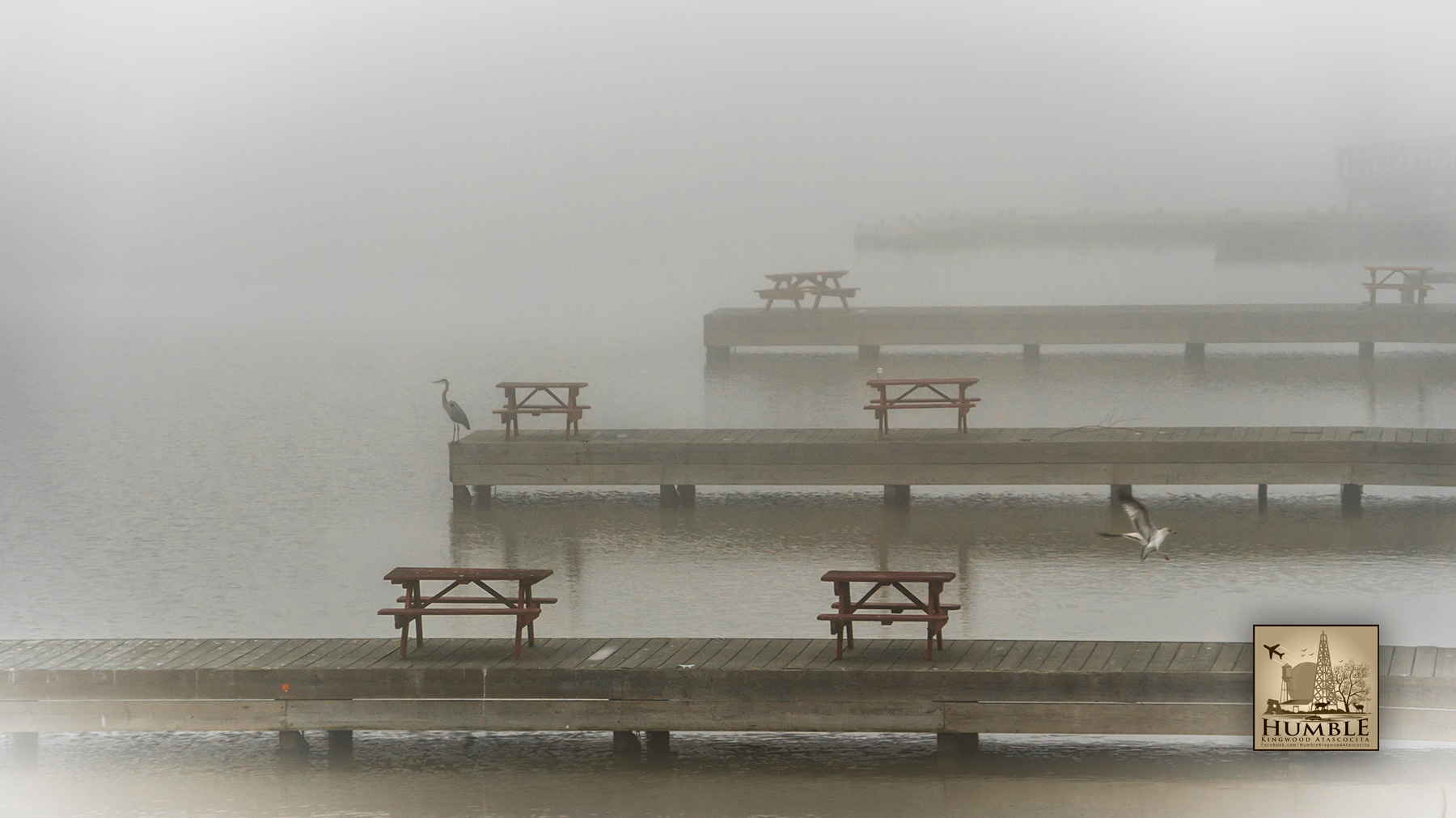 Morning fog on Lake Houston