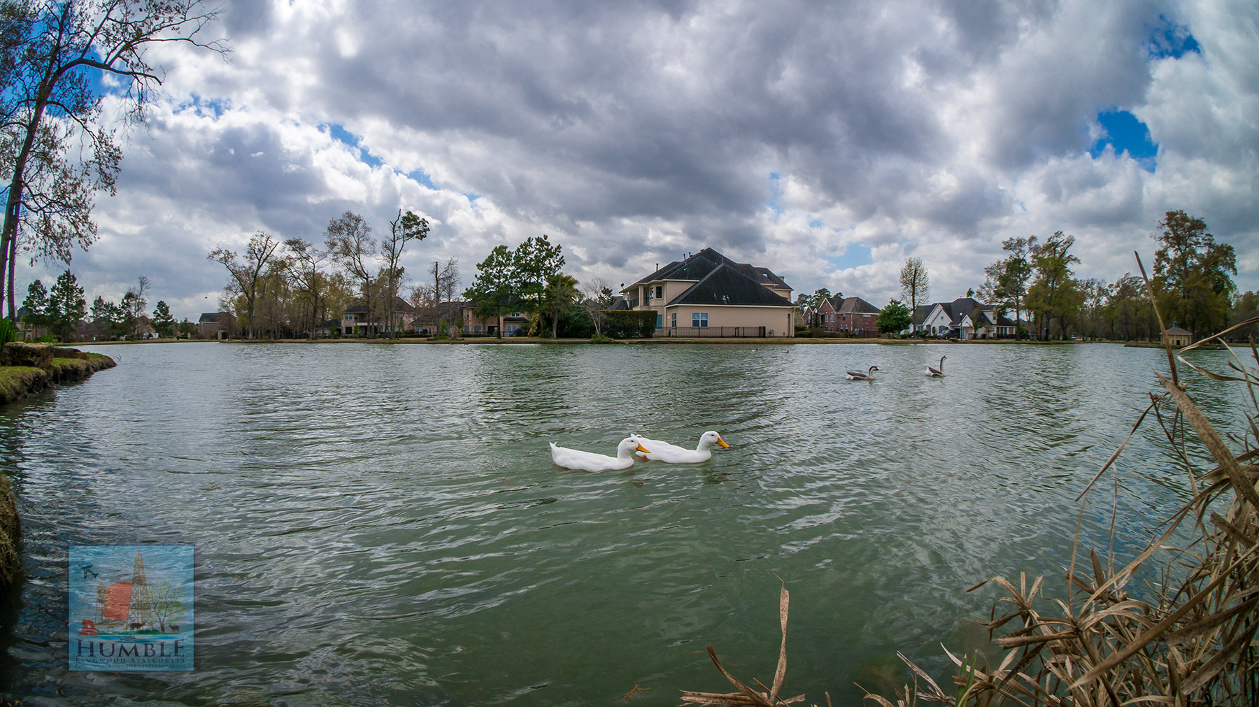 It’s always fun visiting the ducks at Lake Anne in Summerwood