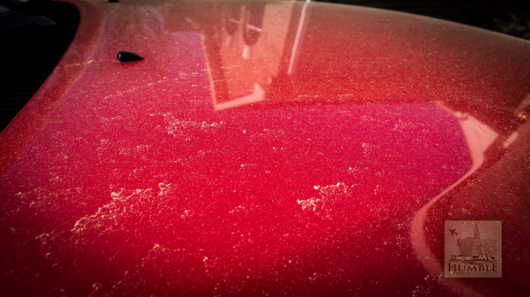 If You’re Sneezing, Coughing, or Tired.. It might be the pollen count