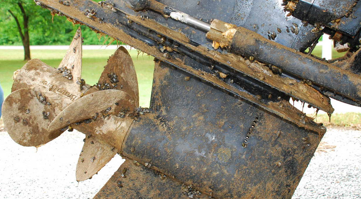 New TPWD Rule requires All boats approaching or leaving Lake Houston to be drained