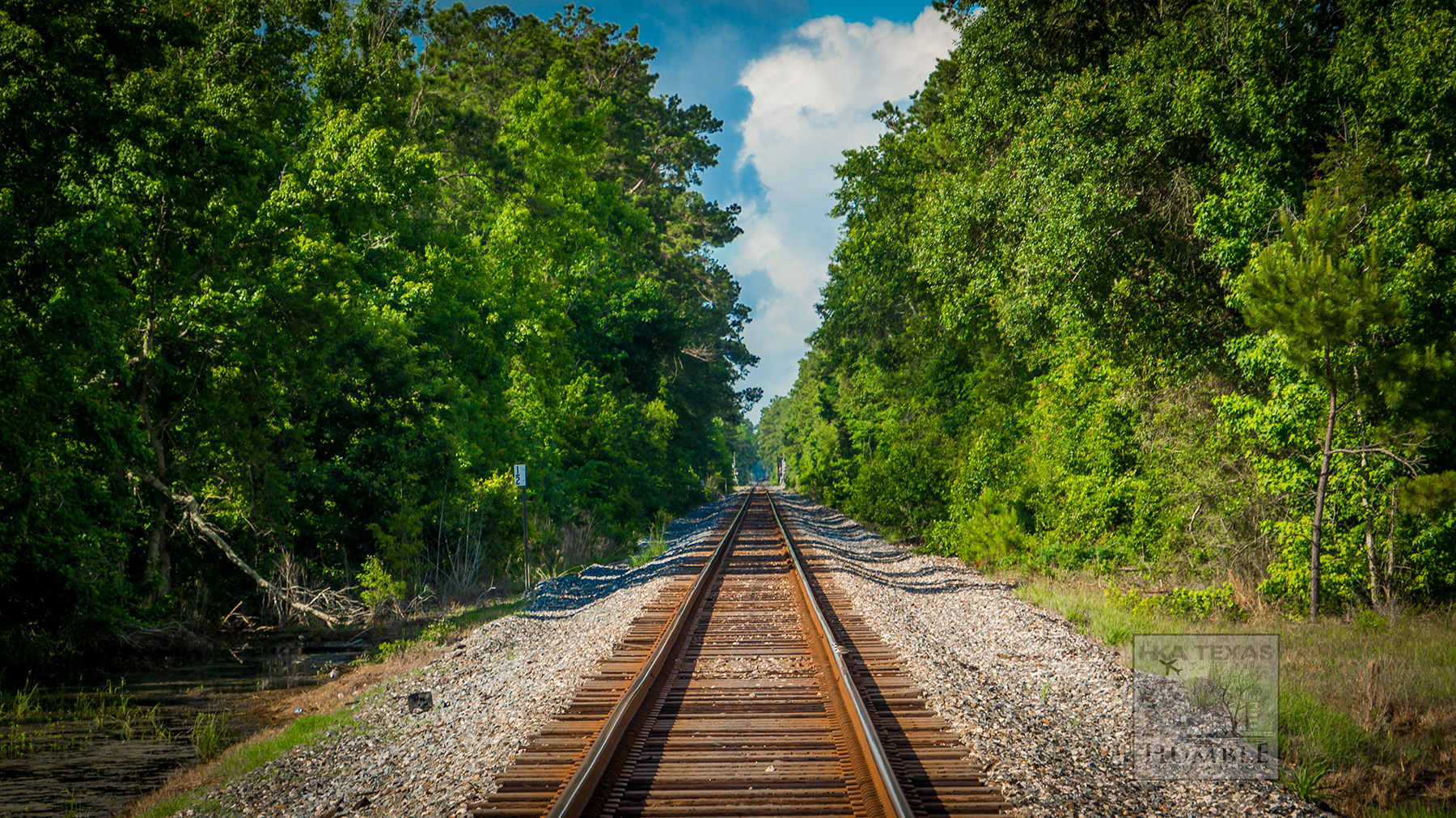 Photo: Looking down the railroad tracks at East Martin Drive in Porter