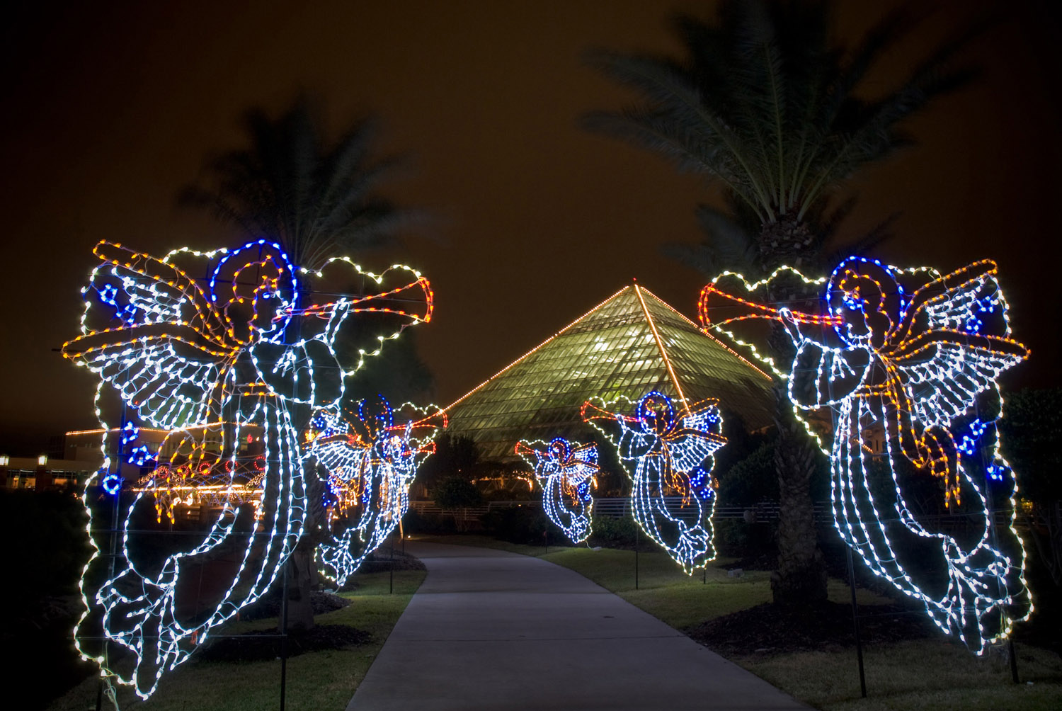 Moody Gardens Festival of Lights and NEW Ice Land, Ice Sculptures